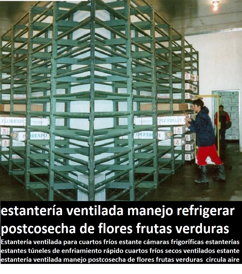 Estantería ventilada para cuartos fríos estante cámaras frigoríficas estanterías estantes túneles de enfriamiento rápido cuartos fríos secos ventilados estante estantería ventilada manejo postcosecha de flores frutas verduras  circular 0 Estantería ventilada para cuartos fríos estante cámaras frigoríficas estanterías estantes túneles de enfriamiento rápido cuartos fríos secos ventilados estante estantería ventilada manejo postcosecha de flores frutas verduras  circular 0 Estantería ventilada para cuartos fríos estante cámaras frigoríficas estanterías estantes túneles de enfriamiento rápido cuartos fríos secos ventilados estante estantería ventilada manejo postcosecha de flores frutas verduras  circular